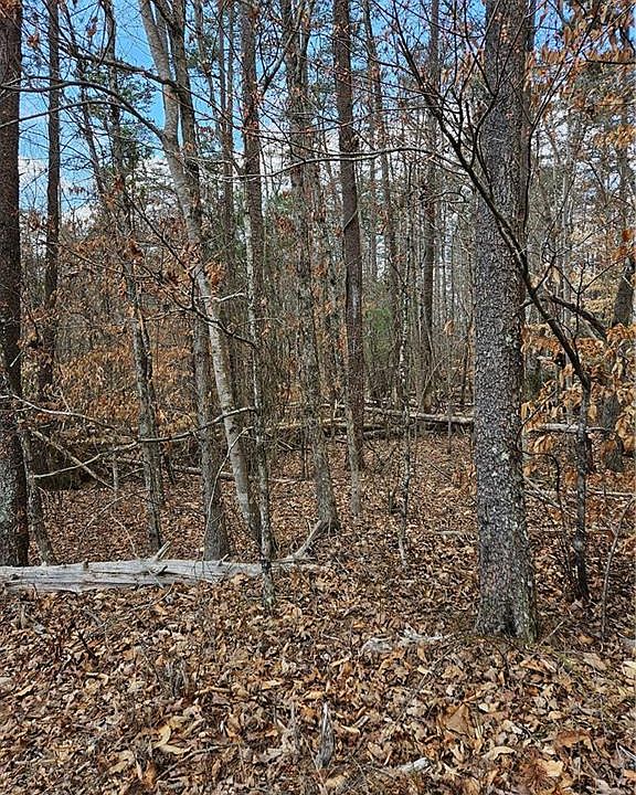 2nd image of 0 Dewberry Rd