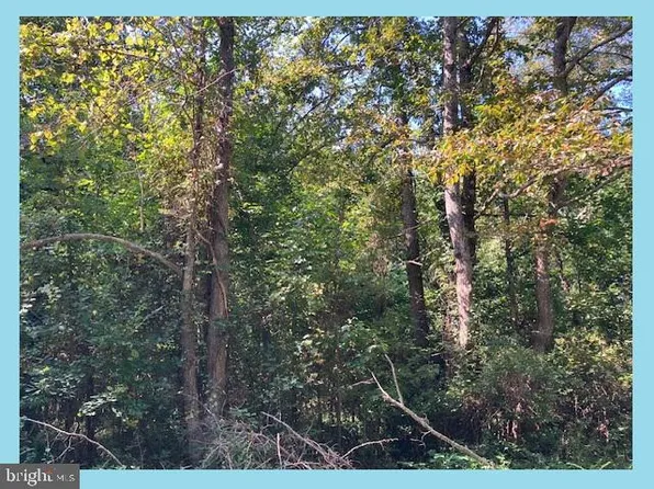 Woodbush Dr, Bushwood, MD 20618