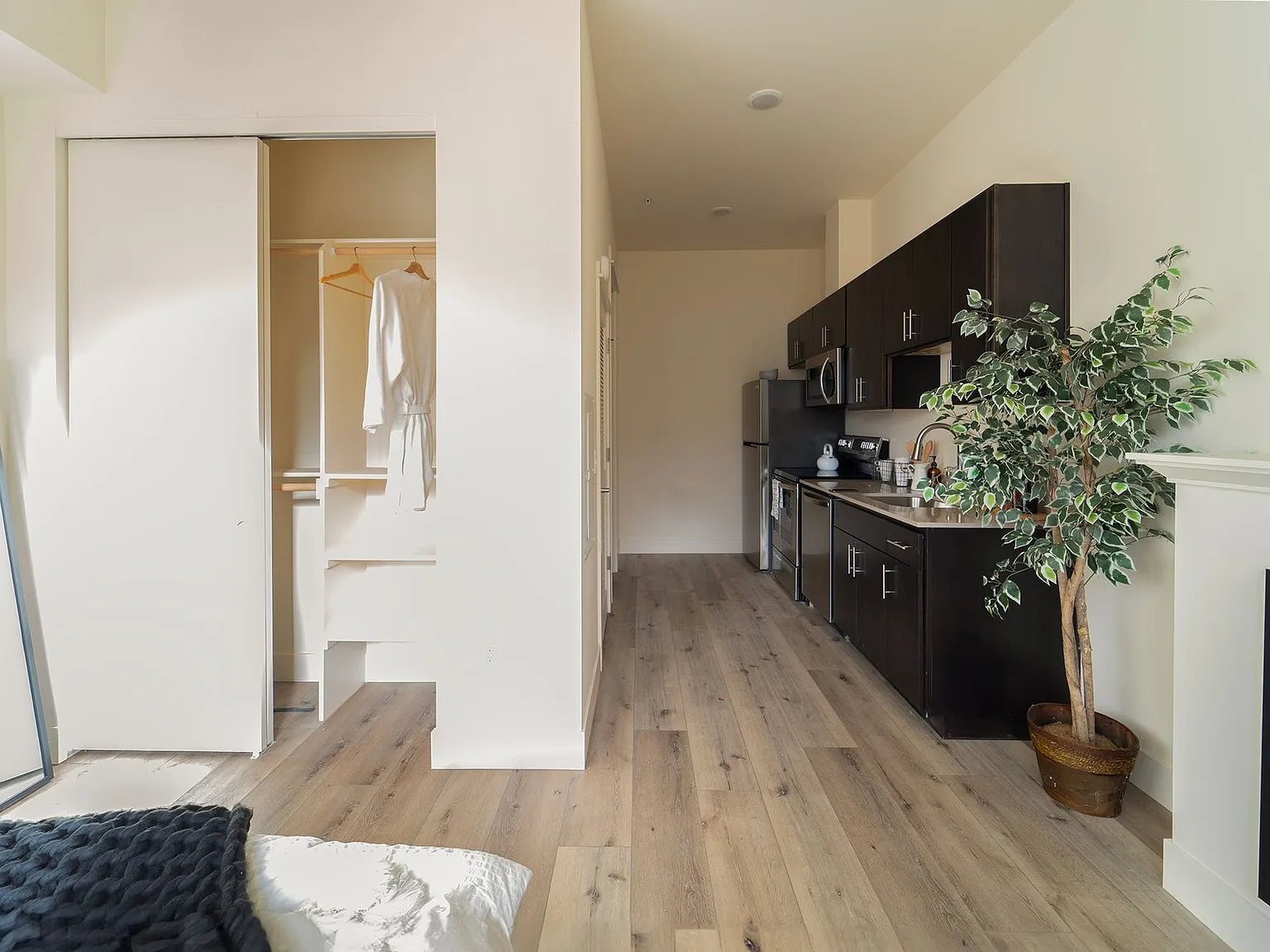 Capitol Hill Apartments — Photo 4