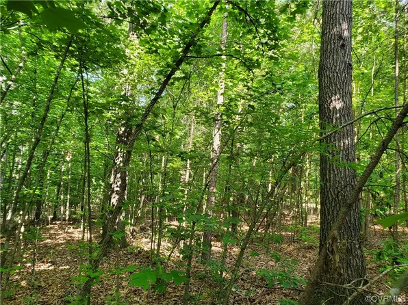 High Point Rd, Crewe, VA 23930