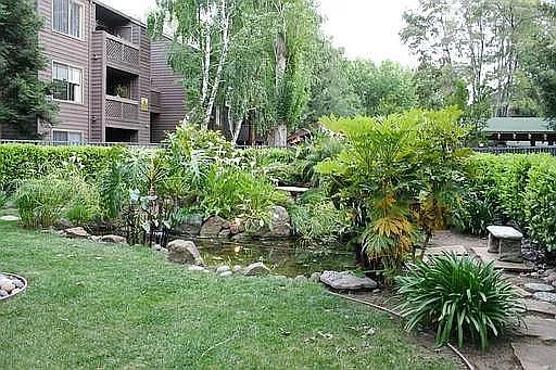 1st image of 776 Teatree Ct