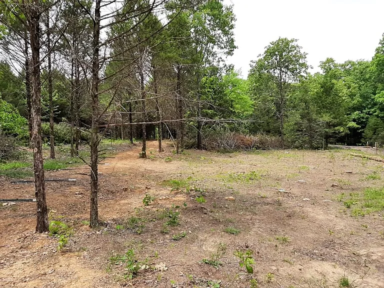 419 Kentucky Valley Rd — Photo 14