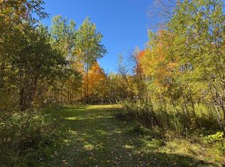 51265 Vagabond Loop, Bemidji, MN 56601