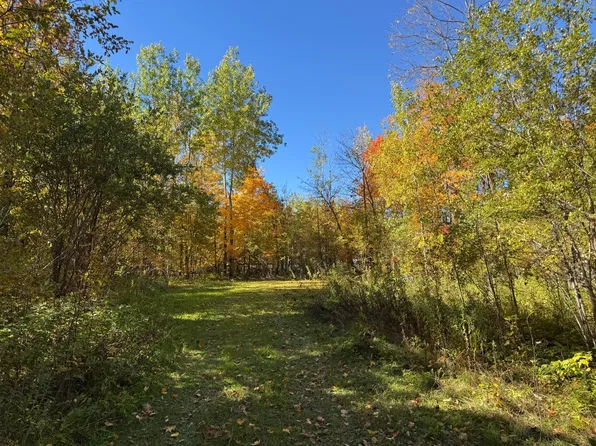 51265 Vagabond Loop, Bemidji, MN 56601