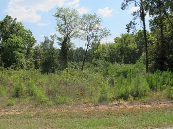 Tbd Section Line Rd, Leesville, LA 71446