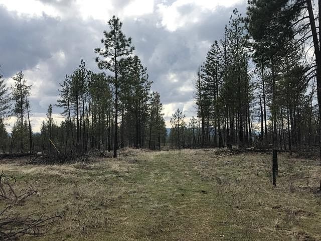 1st image of 5699D Highway 231 Dr