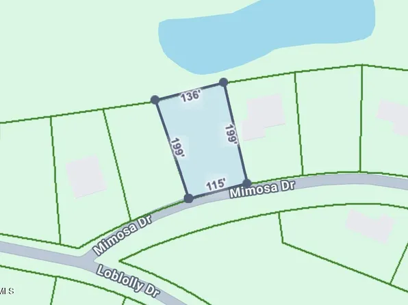 713 Mimosa Drive, Vass, NC 28394