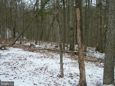 Killmon Rd, Basye, VA, 22810