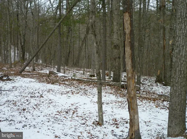 Killmon Rd, Basye, VA 22810