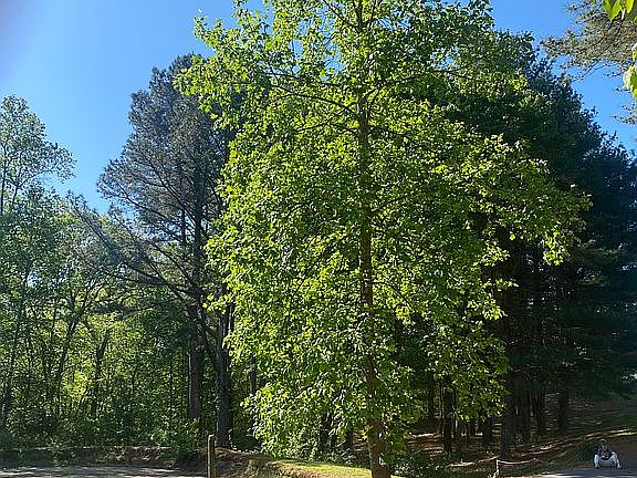 4th image of 5352 Wilkes Yadkin Rd