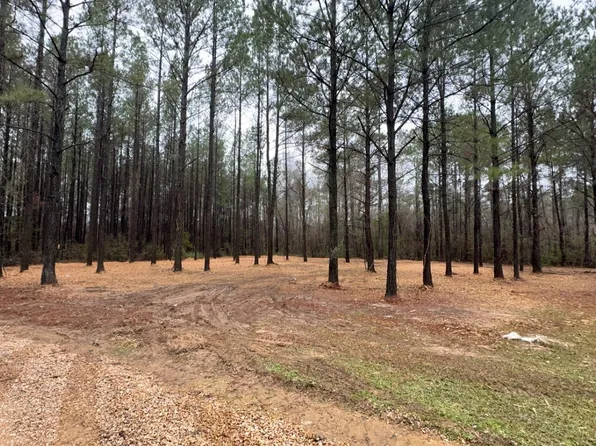 TRACT Two #A-1-c, Clinton, LA 70722