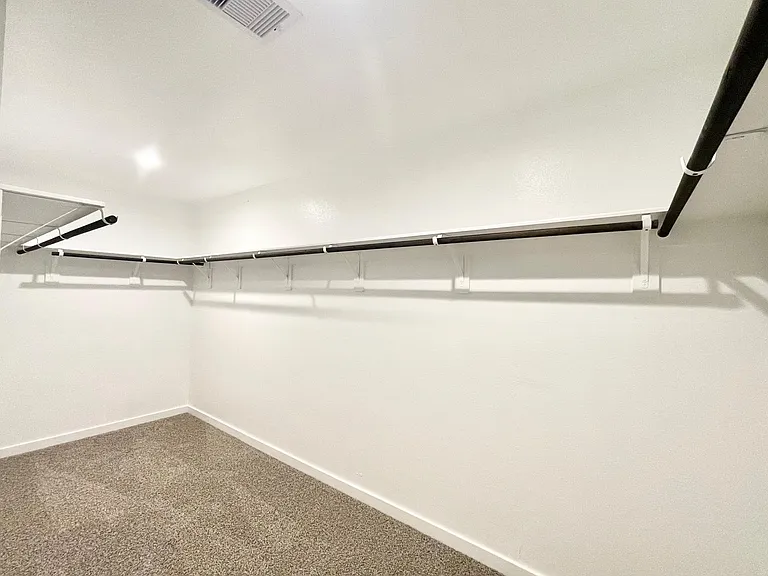 30007 Foxtail Pine Ct — Photo 18