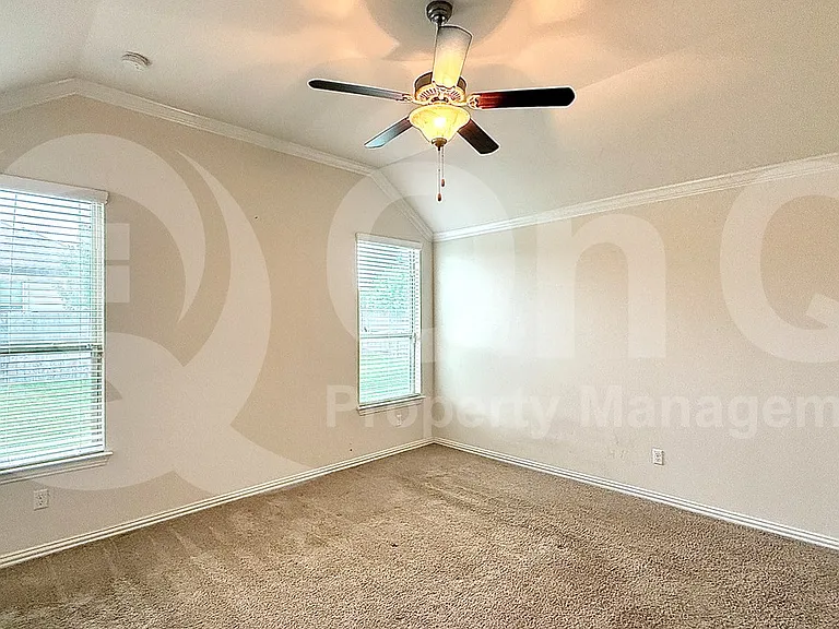 100 Lily Turf Cv — Photo 11