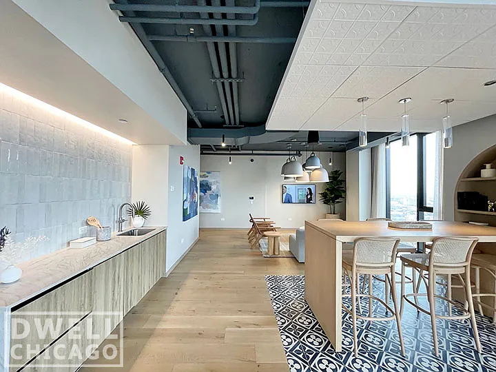 513 S Damen Ave #512 — Photo 13