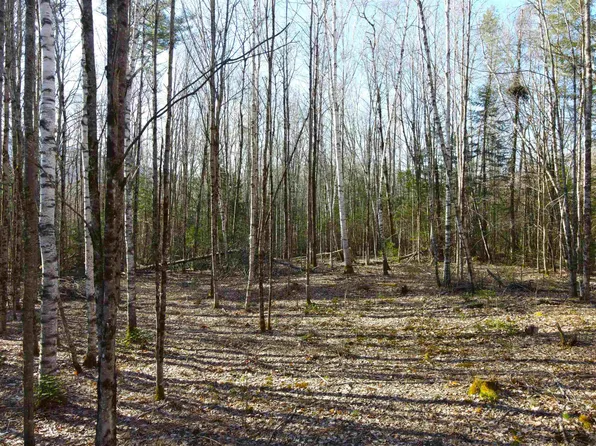 0 Beech Hill Road, Warren, NH 03279