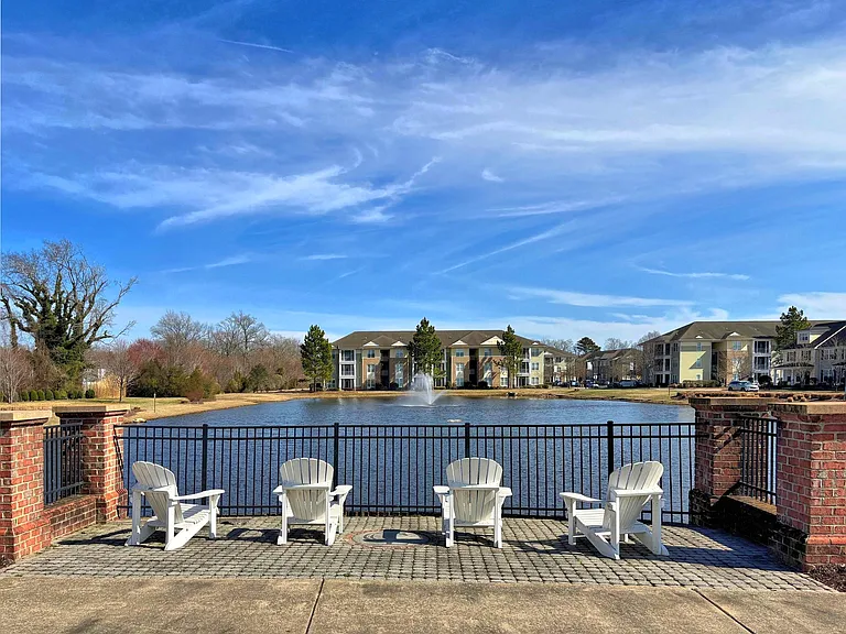 800 Corcormant Ln — Photo 39