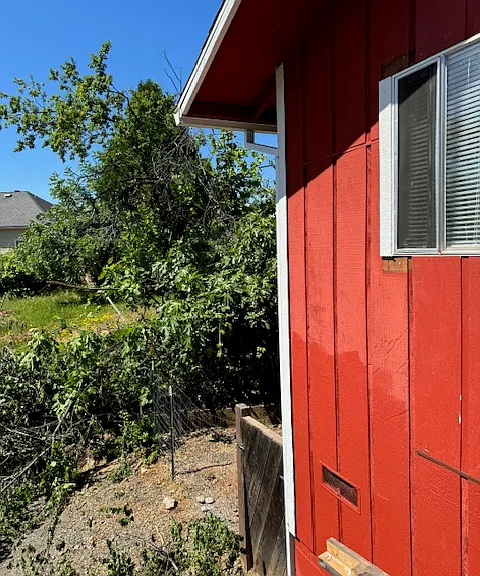 12 Gearhart Ln — Photo 18