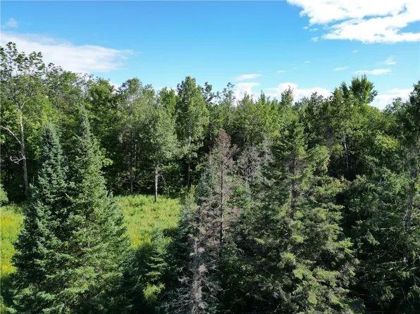 40 Acres Fetke Road, Bruce, WI 54819