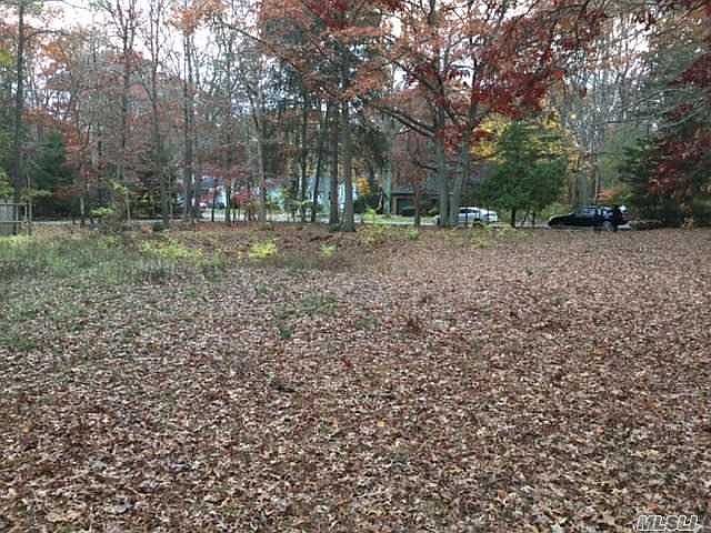 1st image of 51 Hunter Ave