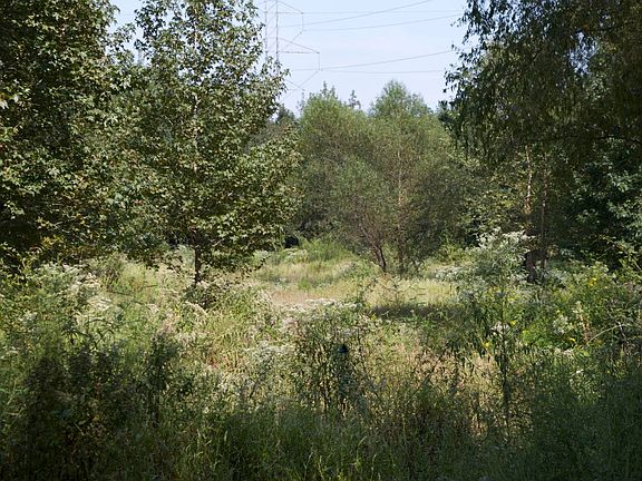 2nd image of 0 County Road 3109