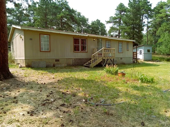 8229 Green Ln, Rye, CO 81069