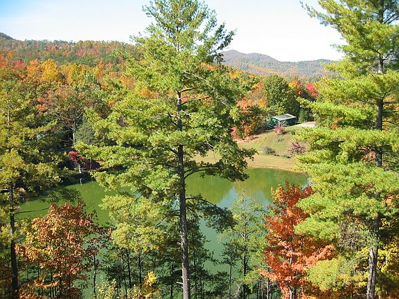 Fall