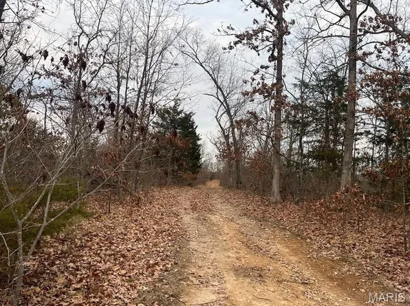 TRACT Two Clear Creek Rd #A, Richwoods, MO 63071