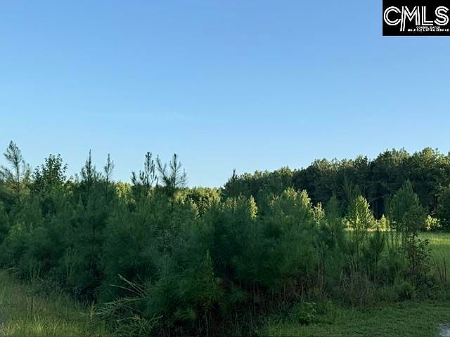 2nd image of 0 Charmaine Ln