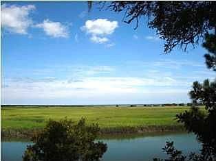 Captain Tom's Creek