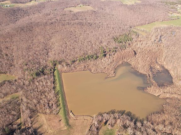 2nd image of Lily Rd