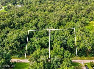 23186 FITZHUGH AVENUE LOT 161, BROOKSVILLE, FL 34601