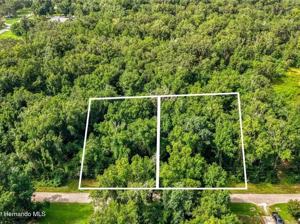23186 FITZHUGH AVENUE LOT 161, BROOKSVILLE, FL 34601