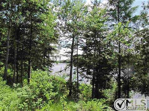 5th image of 10933 N River Ln