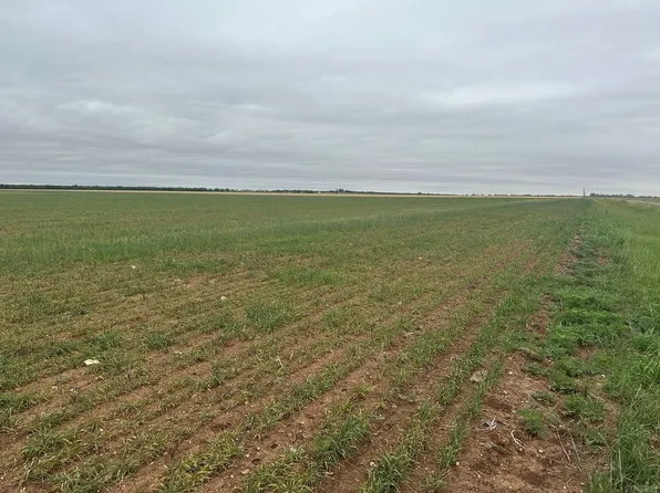 Fm 1812 Lot 3, Merkel, TX 79536