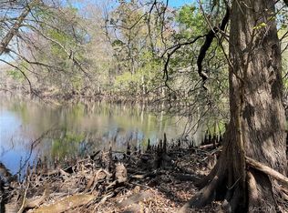 6055 E River Rd, Hernando, FL 34442