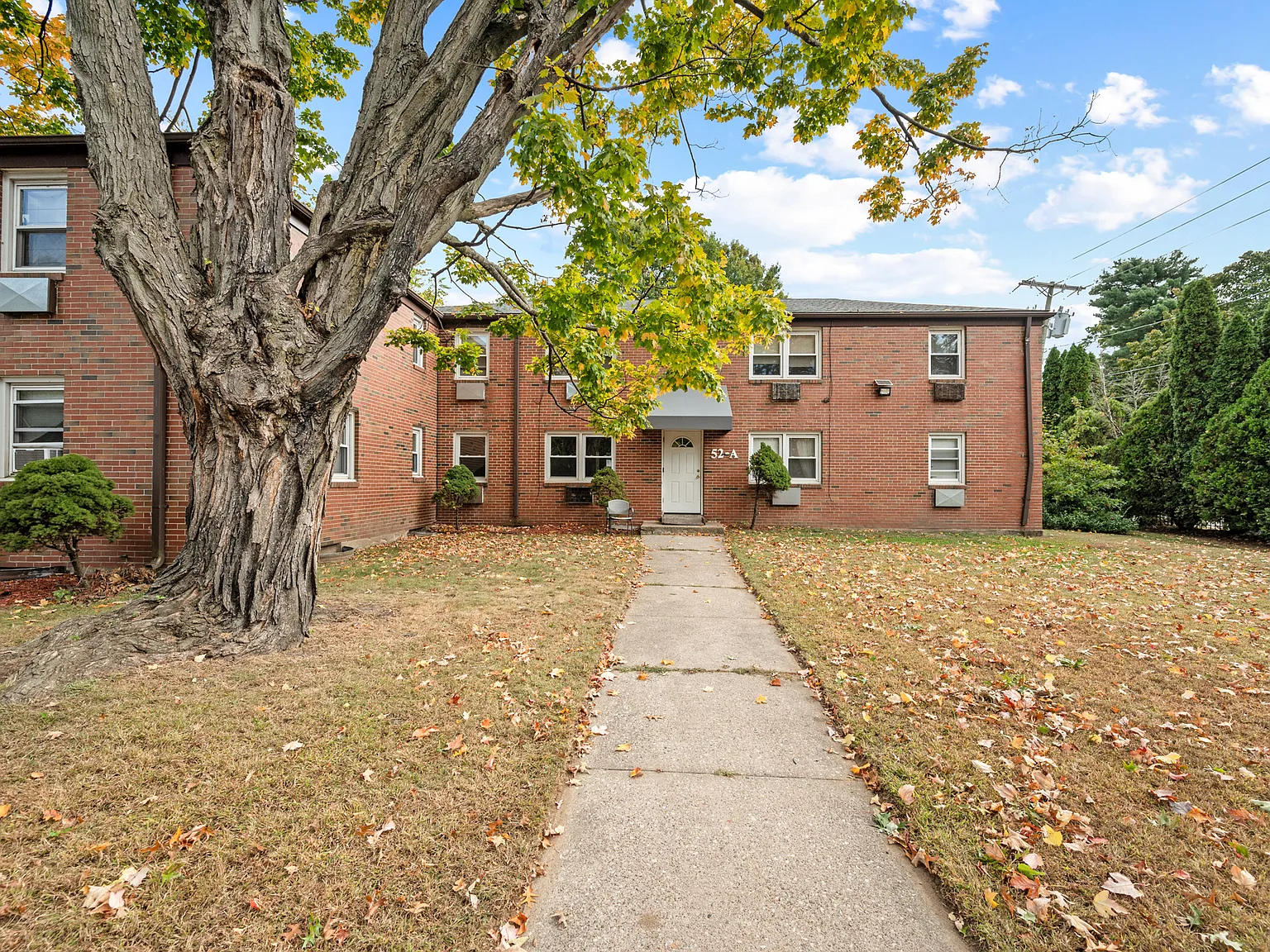1 bed, 625 sqft, $1,250 — Photo 4