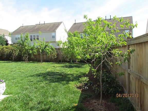 Spring backyard