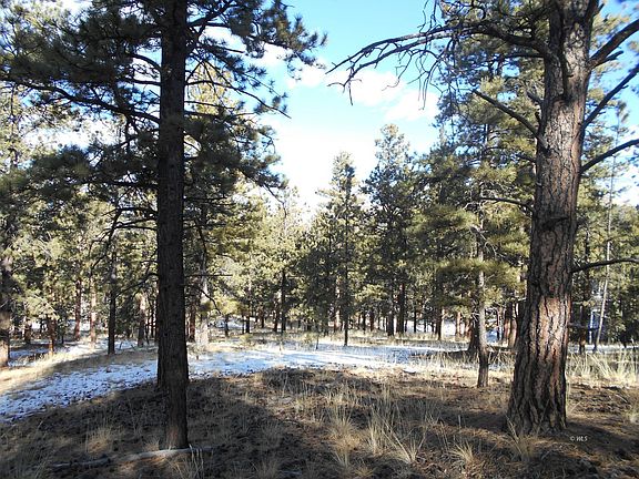 3rd image of 223 Sioux Trl
