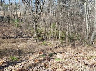 1 Forest Hill Dr, Blue Ridge, GA 30513