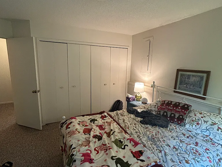 757 N Maple Rd — Photo 9