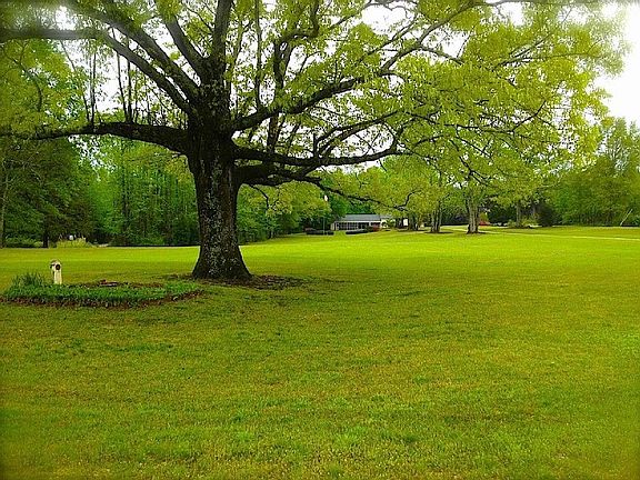 3rd image of 5068 Lee Road 146