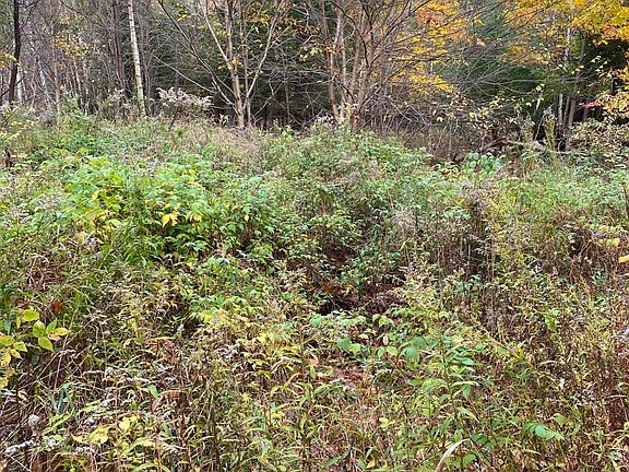 4th image of Lot 3-2 Hammond Drive