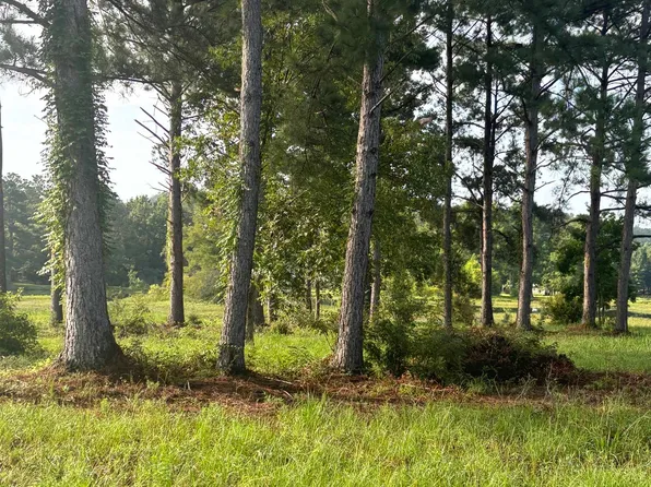 0 Fop Lodge Rd, Andalusia, AL 36421