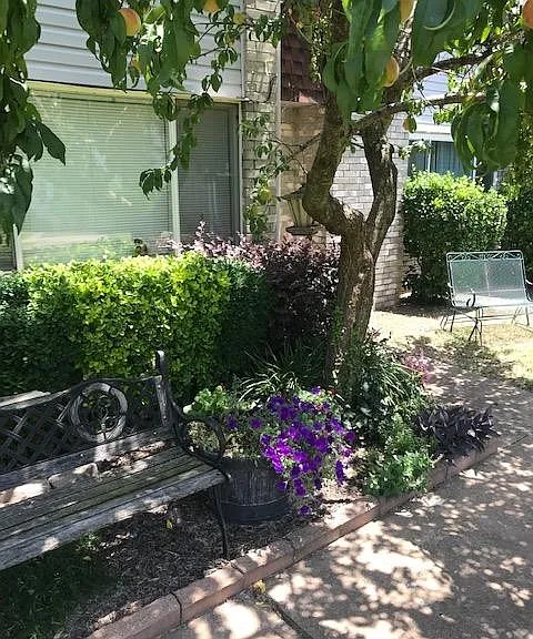 220 Justin Dr — Photo 3