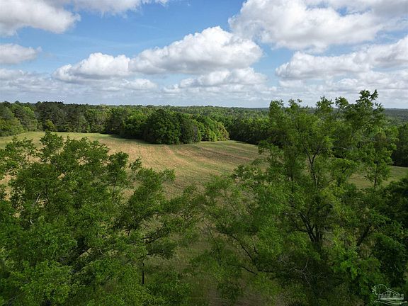 4th image of 1350 W Highway 4