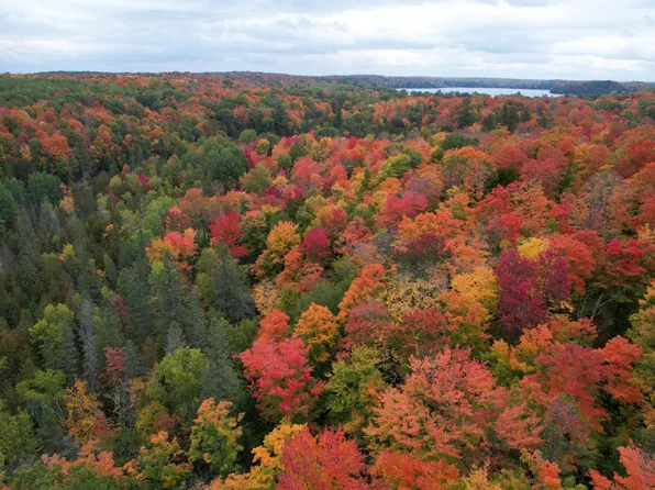 1905 Jungle Lake Rd, Pickerel, WI 54465