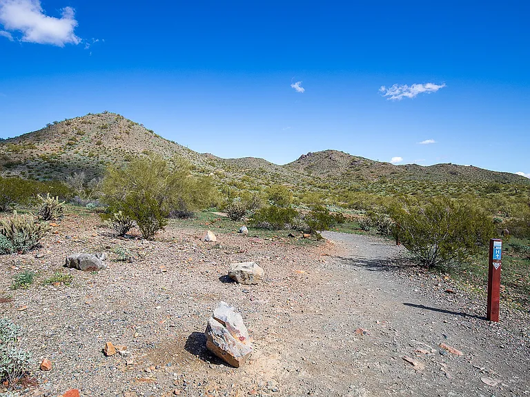 Phoenix Sonoran Preserve Trails