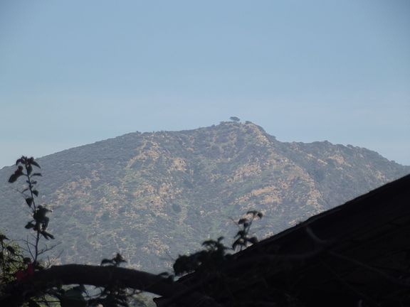 Mt. Hollywood/Lee View