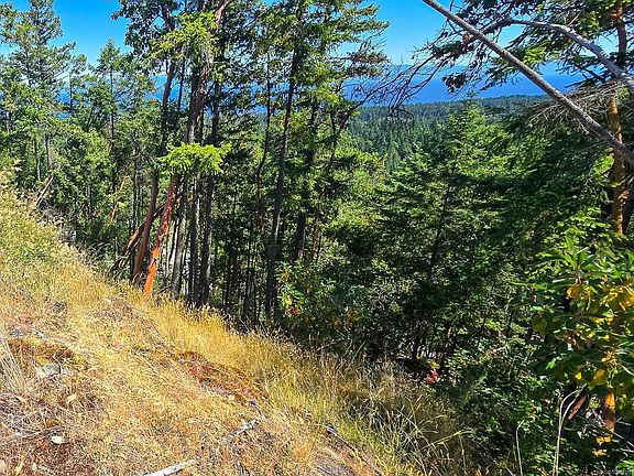 4th image of 5040 Broad Ridge Pl