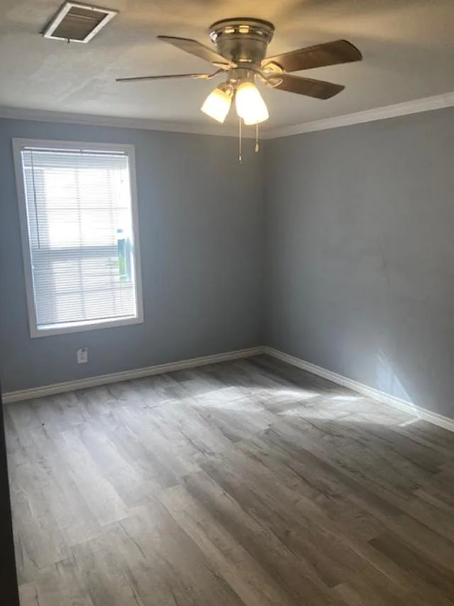 3 bed, $1,200 — Photo 4